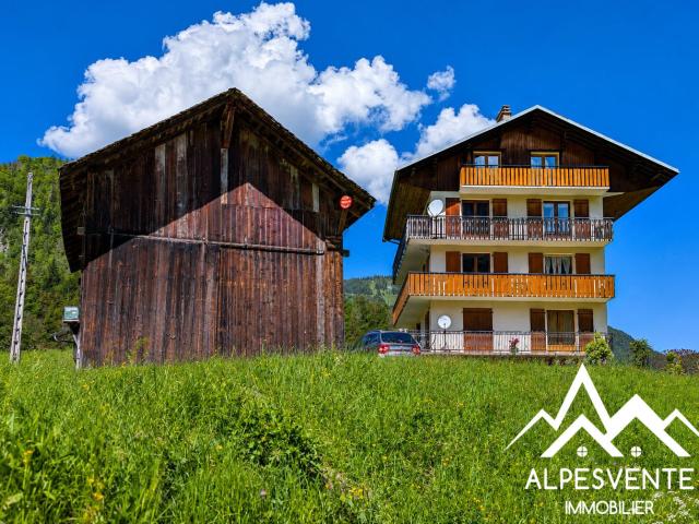 Appartement vente à Thonon-les-Bains, Abondance