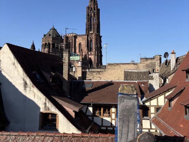 Appartement vente à Strasbourg, Hoenheim