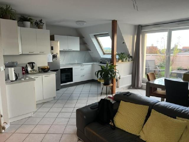 Appartement location à Sundhoffen, Collectivité européenne d'Alsace
