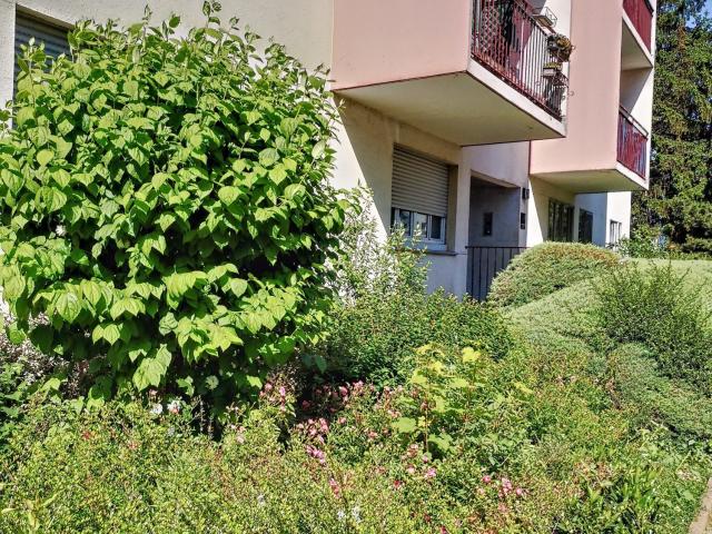 Appartement vente à Mulhouse