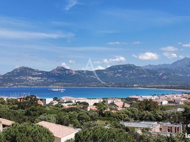 Appartement vente à Calvi