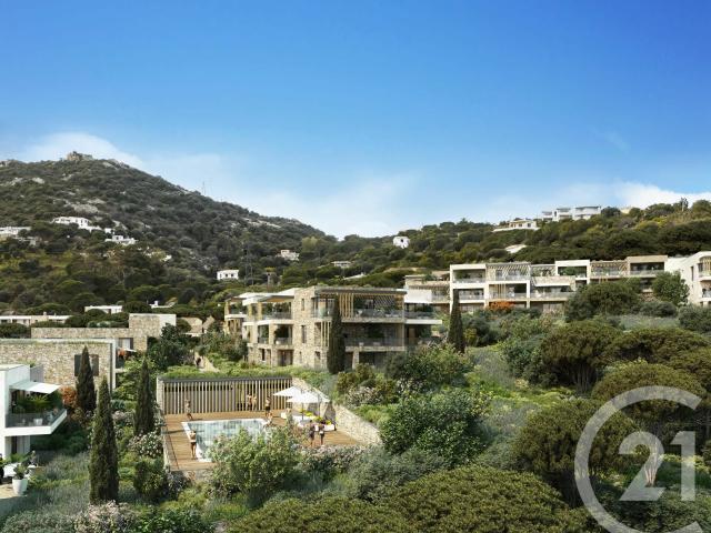 Appartement vente à Calvi
