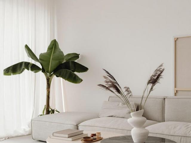 Appartement vente à Estanove, Montpellier