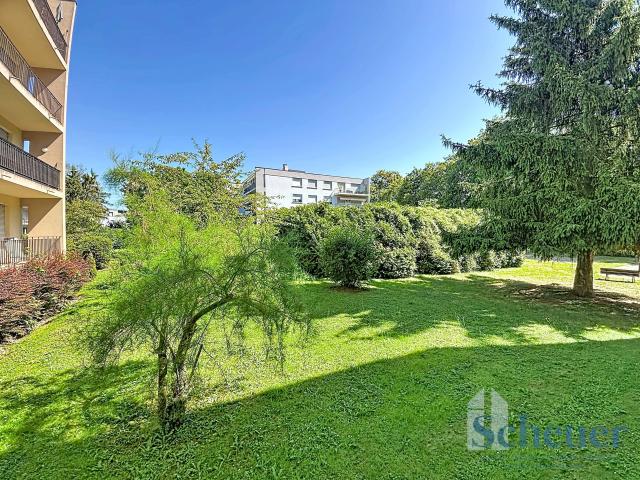 Appartement vente à Strasbourg, Fegersheim
