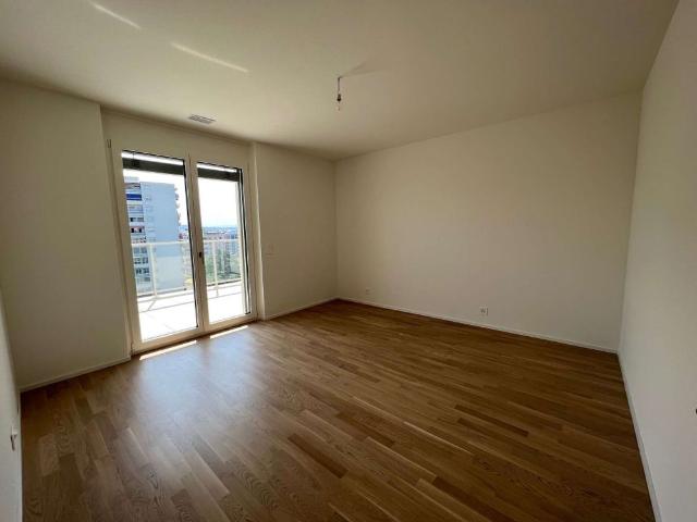 Apartment mieten in Chêne-Bourg
