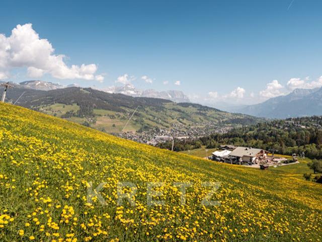 Appartement vente à Bonneville, Megève