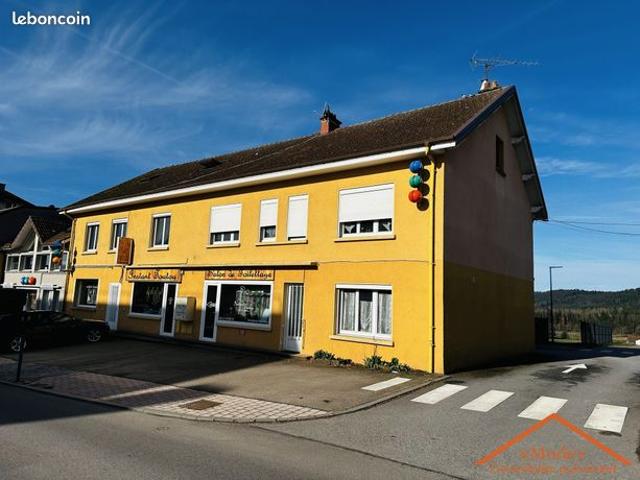 Appartement vente à Saint-Dié-des-Vosges, Bruyères
