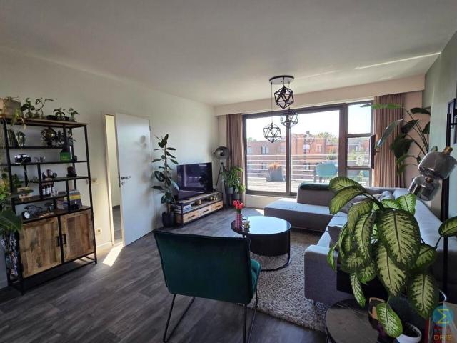 Appartement location à Arendonk, Antwerpen