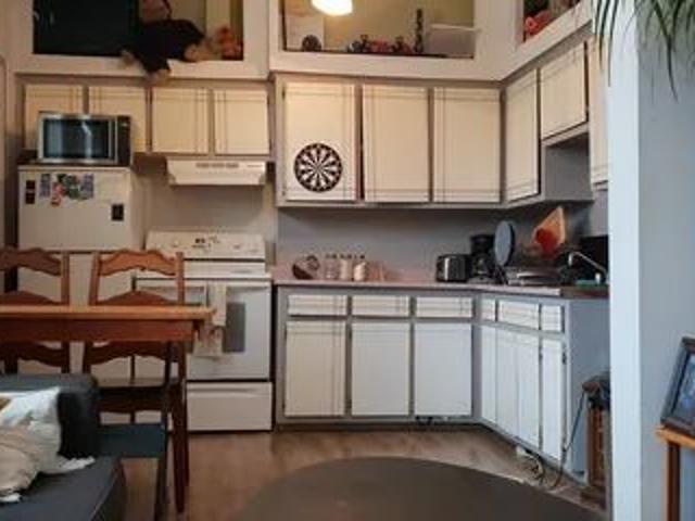 Apartment for rent in Prince-Arthur, Montréal