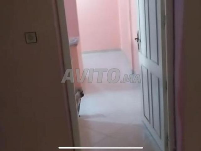 Appartement vente à Ben Slimane