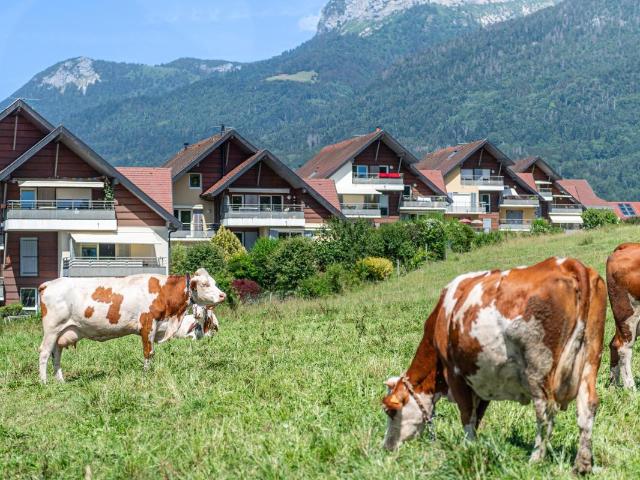 Appartement vente à Annecy