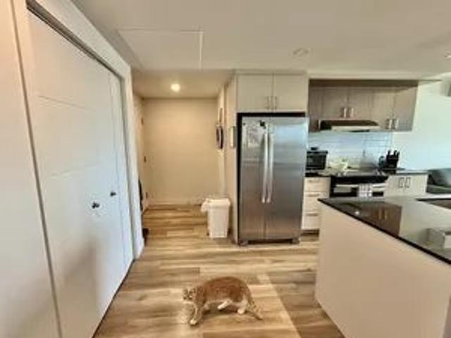 Apartment for rent in Lévis, Quebec