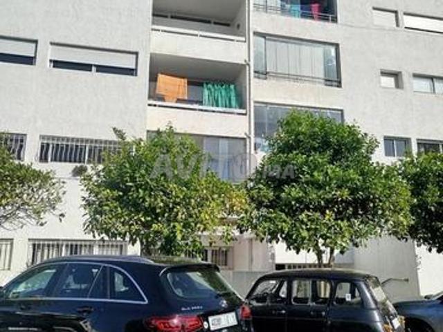 Appartement vente