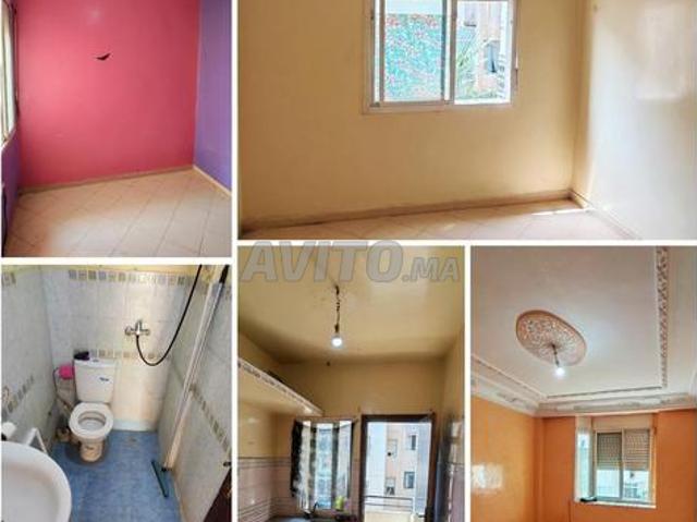Appartement location