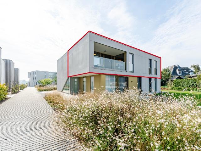 Appartement location à Berlare, Oost-Vlaanderen