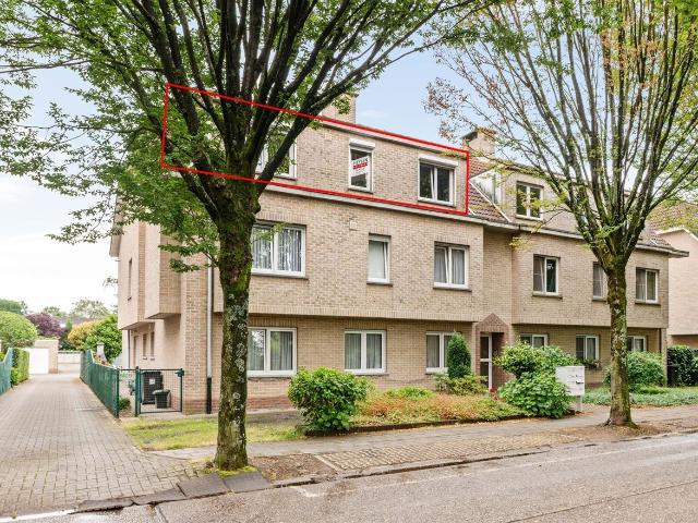 Appartement location à Brasschaat, Antwerpen