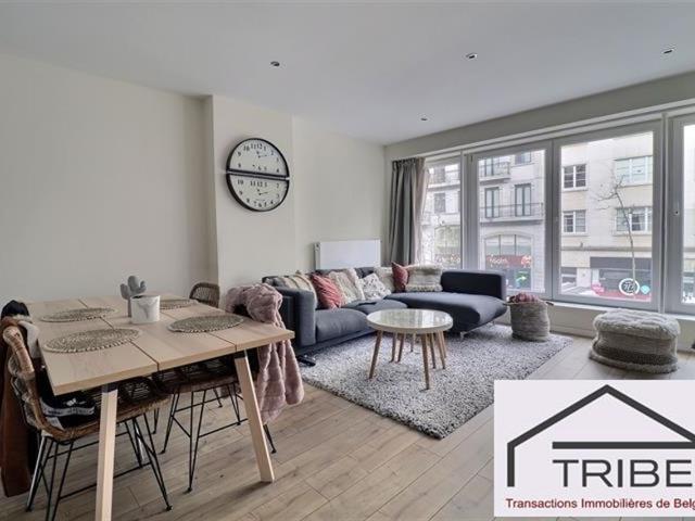 Appartement location à Brussel, Bruxelles
