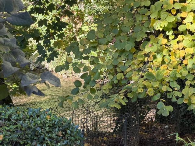 Apartment mieten in Grand-Lancy, Lancy