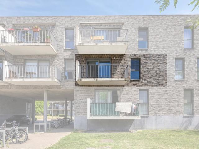 Appartement location à Antwerpen
