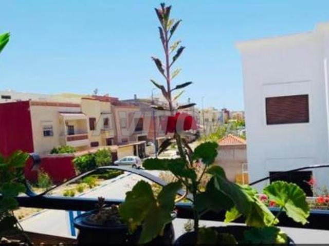 Appartement location à Saf, L'Oriental