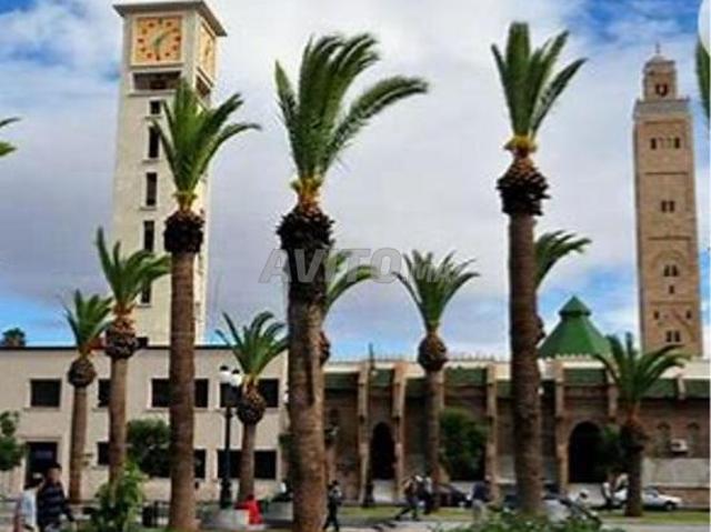 Appartement location à Centre Ville, Ben Slimane