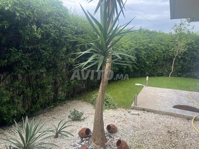 Appartement location à Hay Riad, Berkane