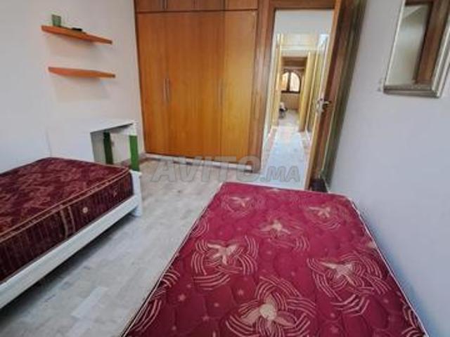 Appartement location