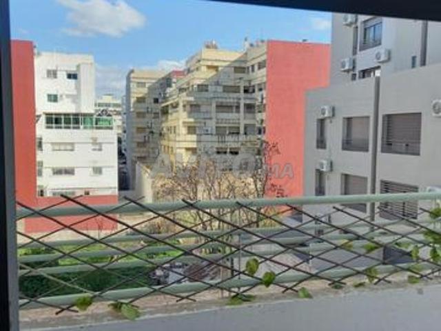 Appartement location