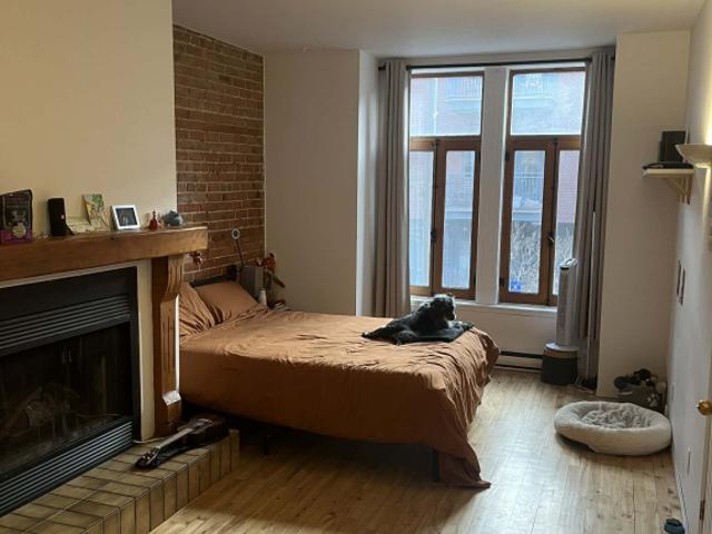 Apartment for rent in Ville-Marie, Montréal