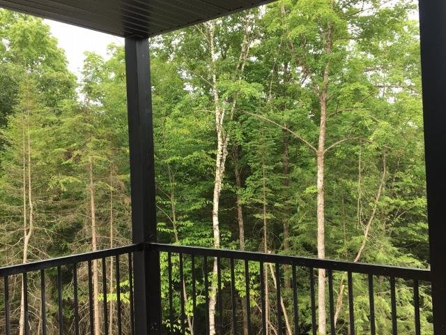 Apartment for rent in Les Collines-de-l'outaouais, Quebec