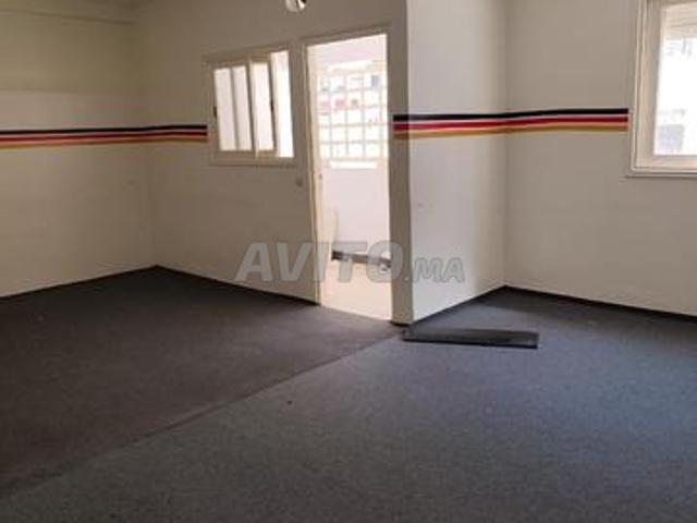 Appartement location