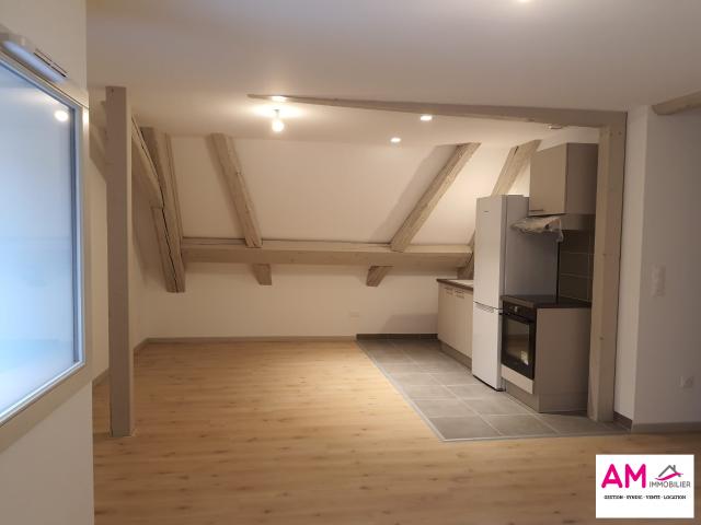 Appartement location à Colmar-Ribeauvillé, Colmar