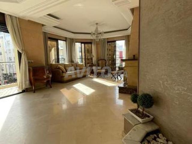 Appartement location à Centre Ville