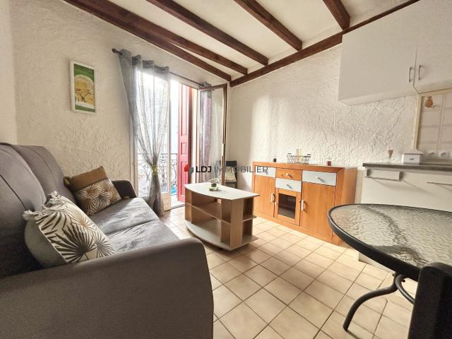 Appartement location à Céret, Amélie-les-bains-palalda