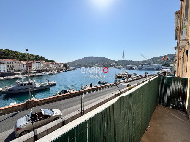 Appartement location à Céret, Port-vendres