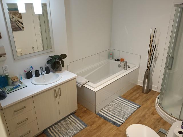 Apartment for rent in Matawinie, Quebec