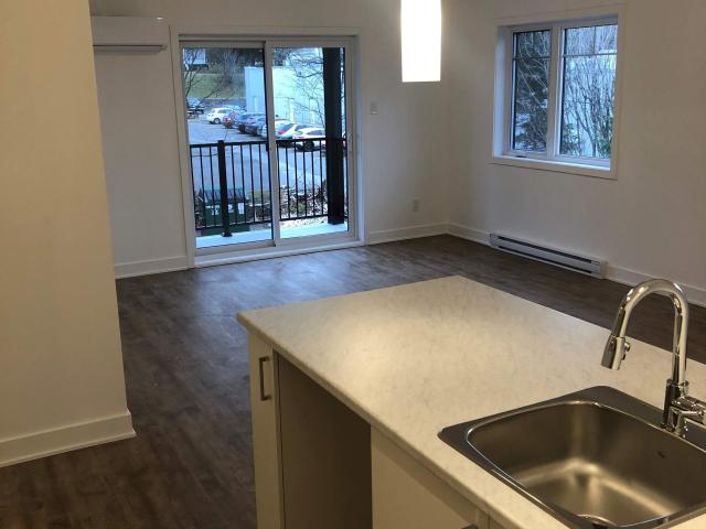 Apartment for rent in Matawinie, Quebec