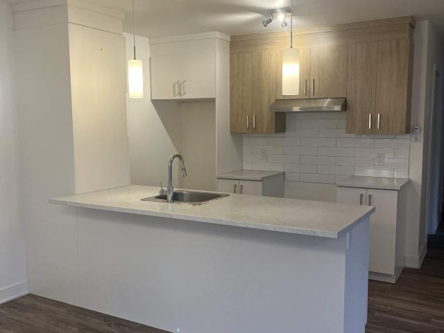 Apartment for rent in Matawinie, Quebec