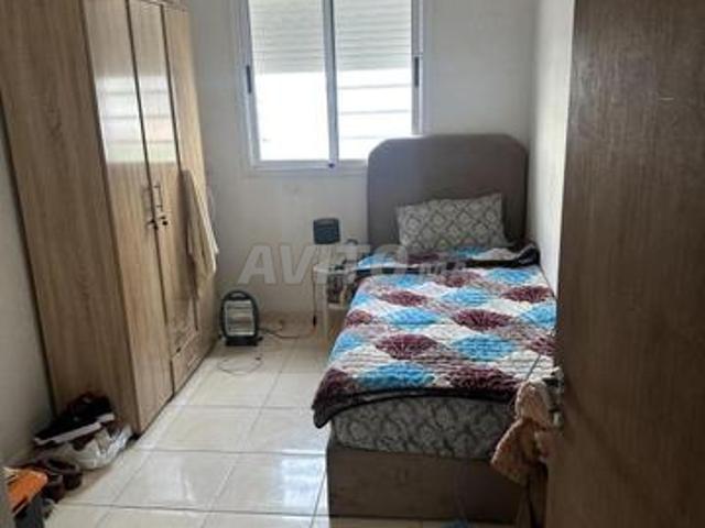 Appartement location