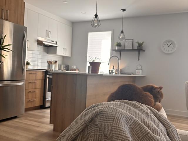 Apartment for rent in Saint-ambroise-de-kildare, Quebec