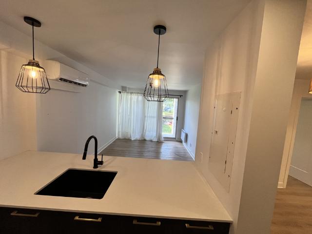 Apartment for rent in Laurentides, Quebec