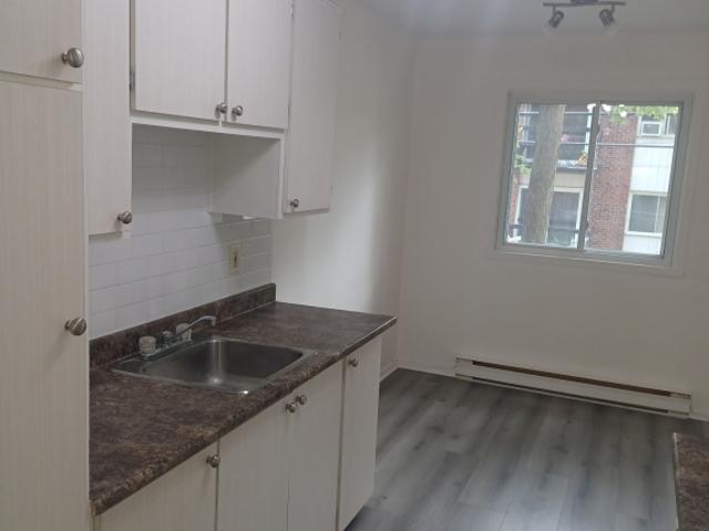 Apartment for rent in Laurentides, Quebec