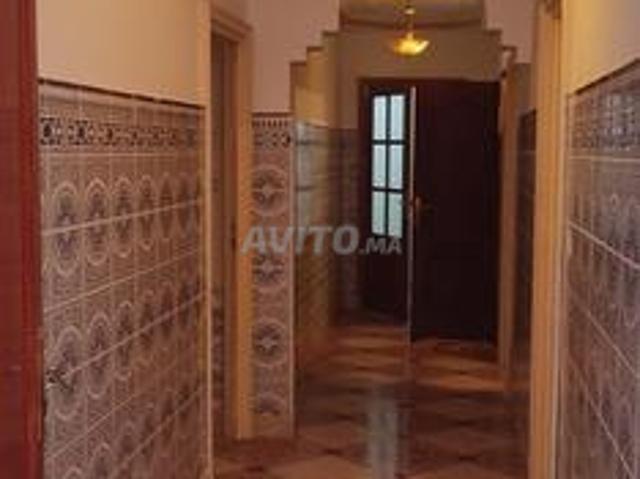 Appartement location à Nador