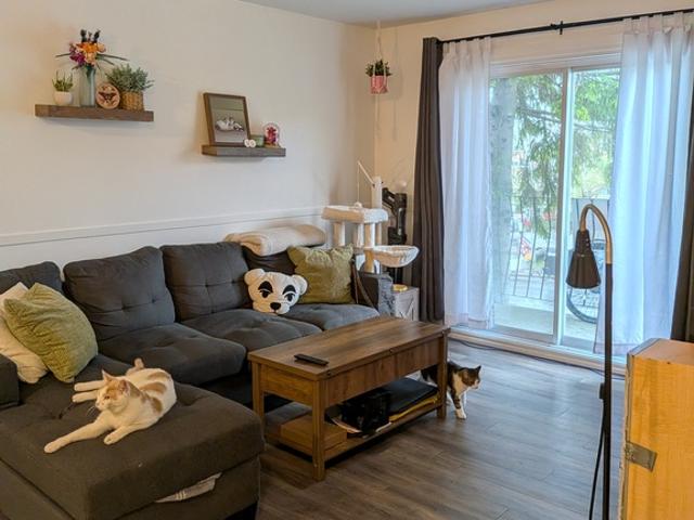 Apartment for rent in Sherbrooke, Quebec