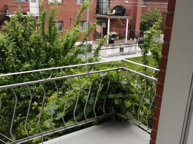 Apartment for rent in St. Leonard's, Quebec