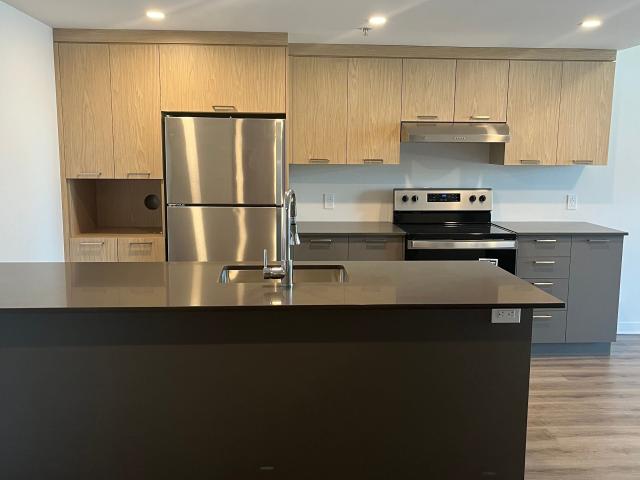 Apartment for rent in Les Moulins, Quebec