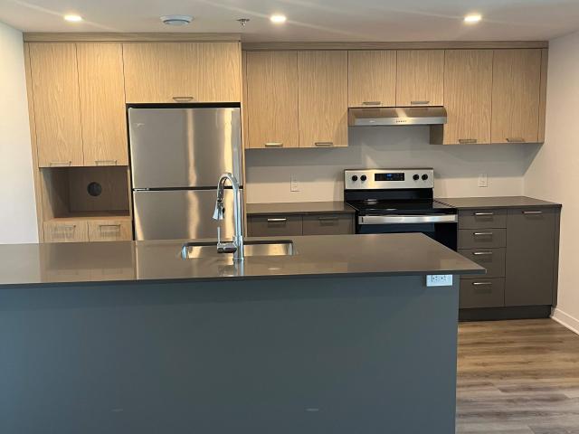 Apartment for rent in Terrebonne, Quebec