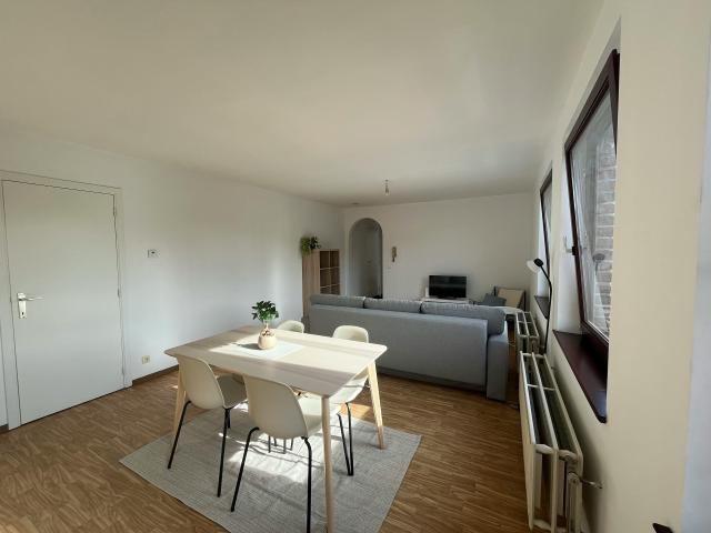 Appartement location à Mol