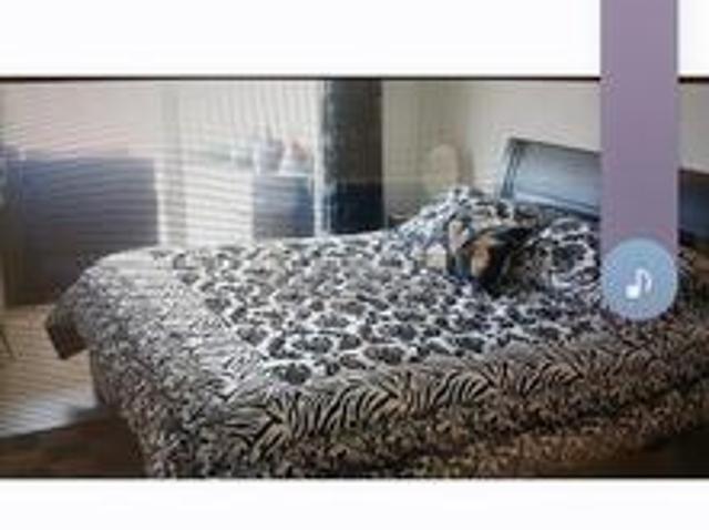Appartement location