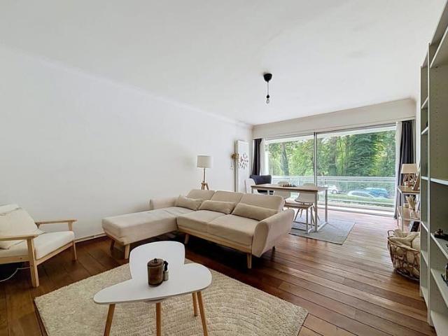 Kot location à Brunehaut, Wallonie